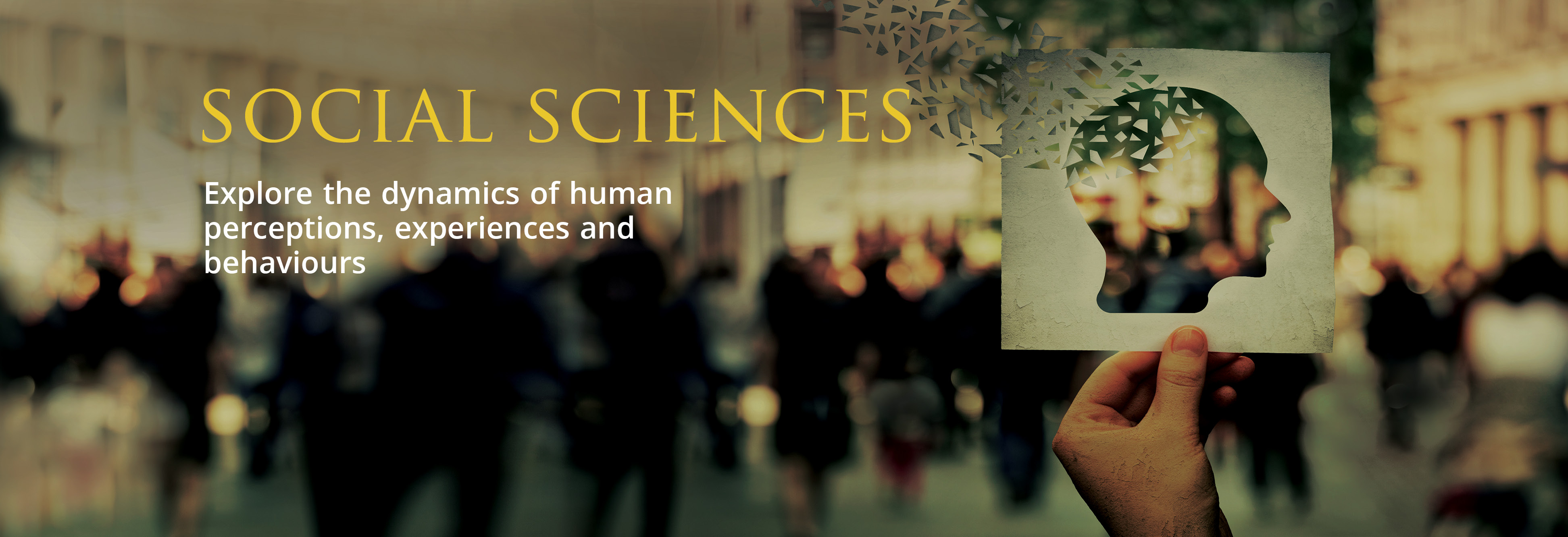 Social Sciences at Ambrose  University