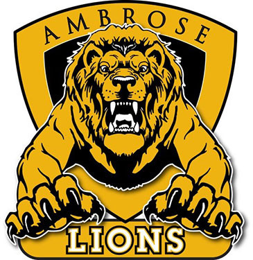 ambrose Lions 375